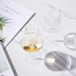 Unbreakable Stemmed Wine Glasses, Tritan Acrylic | Set Of 2 | European Style Crystal Drinkware, 18oz -Refined Spirits Store 61ZpStQUmXL. AC SL1500