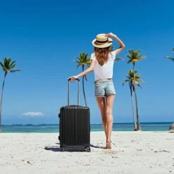 Wine Bottle Suitcase | Holds 10 Standard 750 ML Size Bottles | Universal Airplane Luggage Case, TSA Approved Wheeled Bag For Professionals And Consumers, Gift For Wine Lovers & Connoisseurs (24 IN) -Refined Spirits Store 71CwCwiSQuL. AC SX679