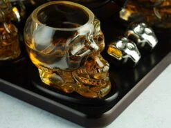 Skull Skeleton Wine & Whiskey Globe Decanter Set 850 ML With 4 Skull Head 3oz Skeletons Shot Glasses And Skull Chillers Wooden Base Decor Glass Goth Spooky Drinking Glassware The Wine Savant -Refined Spirits Store 71EtQZW 4pL. AC SL1500