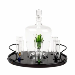 Tequila Decanter Tequila Glasses Set With Agave Decanter And 6 Agave Shot Glass With Stand, Perfect For Gifts For Tequila Lovers, 750mL Bottle, 3 OZ Shot Glass Party Decorations Cinco De Mayo (Agave) -Refined Spirits Store MT DanielSanders 002.jpg 2